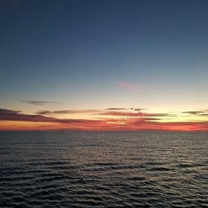 Meet your Posher, Sheila